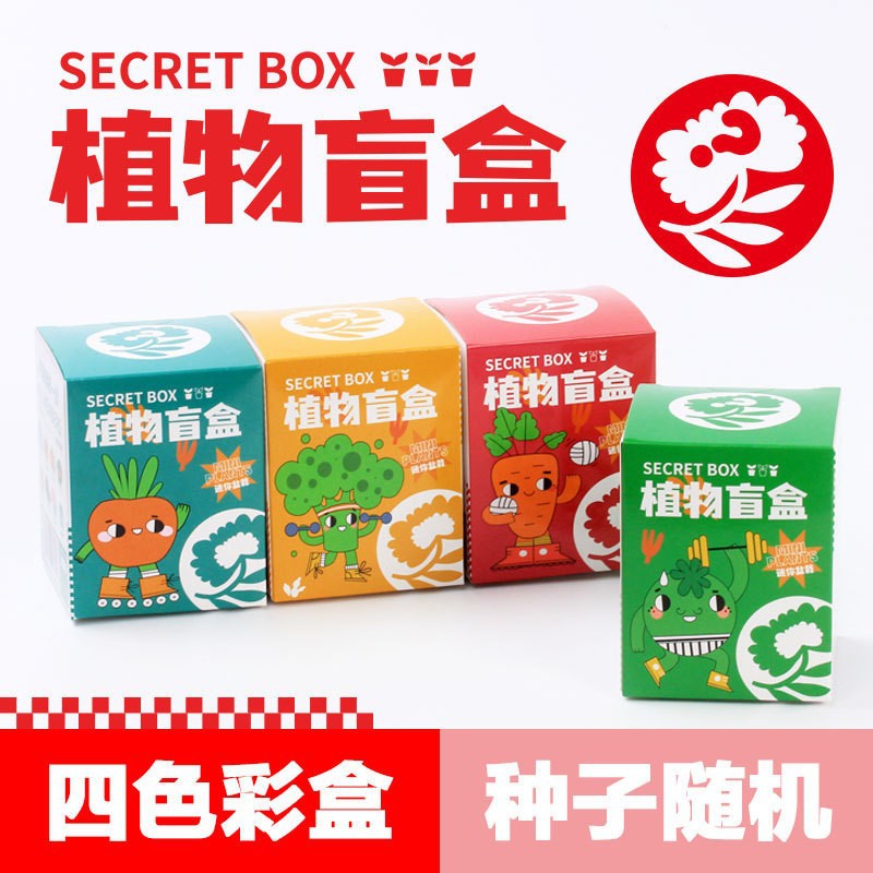 绿植室内花卉盆栽定制幼儿园小学生桌面水培植物摆件创意礼品批发